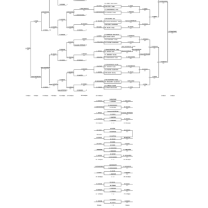 Diagram Młodzików - I WTK